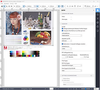 Fiery XF 8 InRip Simulation ein